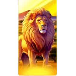 Lion
Safari
